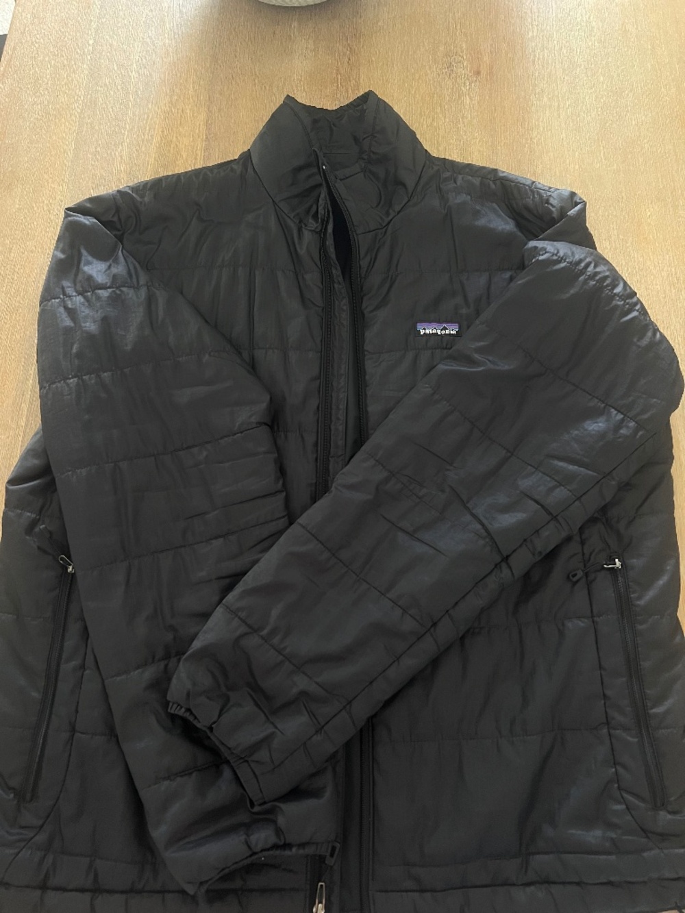 Patagonia Men's Winter Jacket- EUC